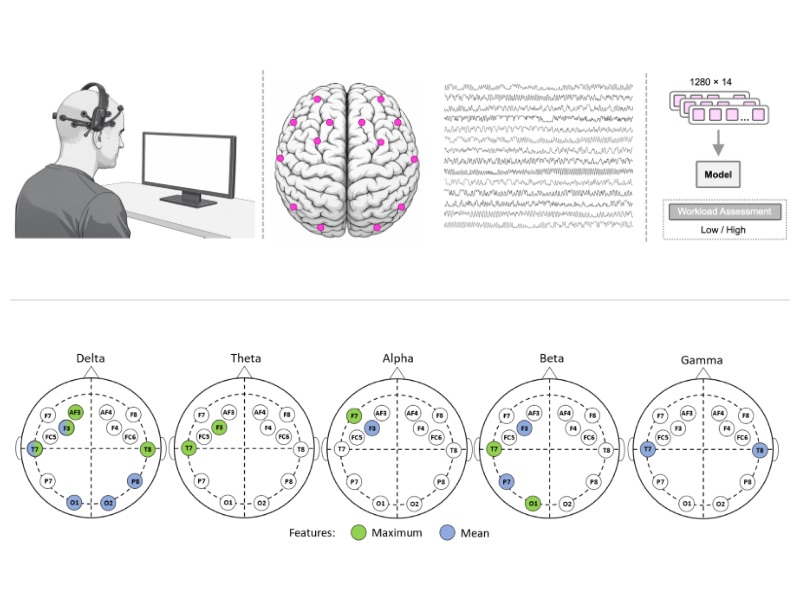 EEG-based cognitive workload assessment workflow and physiological features